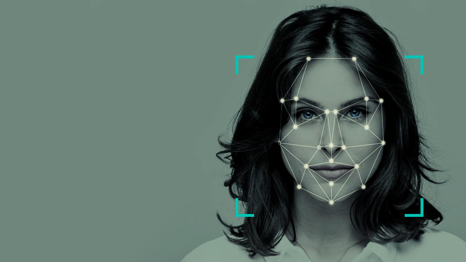 banner-mbti-fellipelli